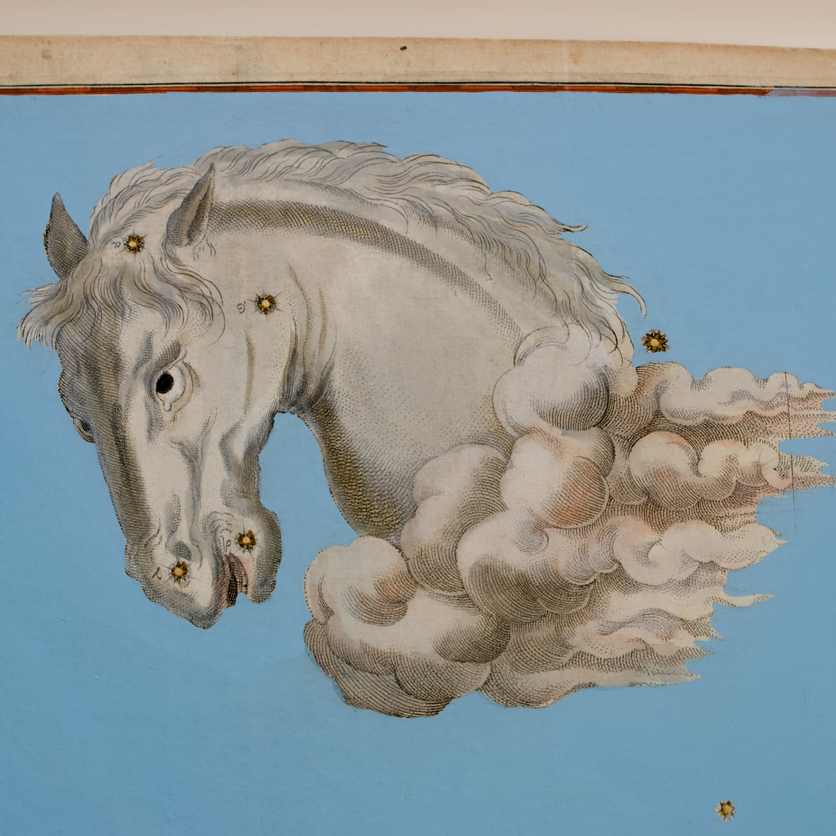 Antike Sternenkarte „Equuleus", 1648 – Bild 2
